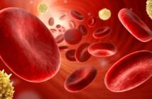 Rote und weße Blutkörperchen: Wie wichtig ist es doch, dass die Anzahl im Blut stimmt