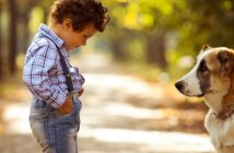 Fremde Tiere: Vom richtigen Umgang und Regeln für Kinder