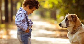 Fremde Tiere: Vom richtigen Umgang und Regeln für Kinder