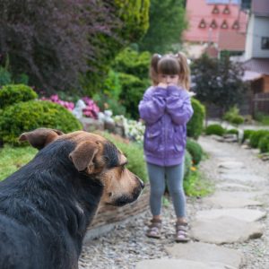 Bei Tieren und ganz besonders bei fremden Tieren und kleinen Kindern ist immer Vorsicht geboten. (#03