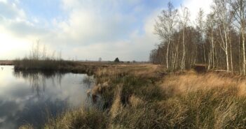 Moorkuren bei Kinderwunsch oder einfach nur die Moorlandschaft geniesen