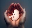 Abtreibung in Deutschland: Eine Debatte über Leben und Rechte (Foto: AdobeStock - 243525356 KUBE)