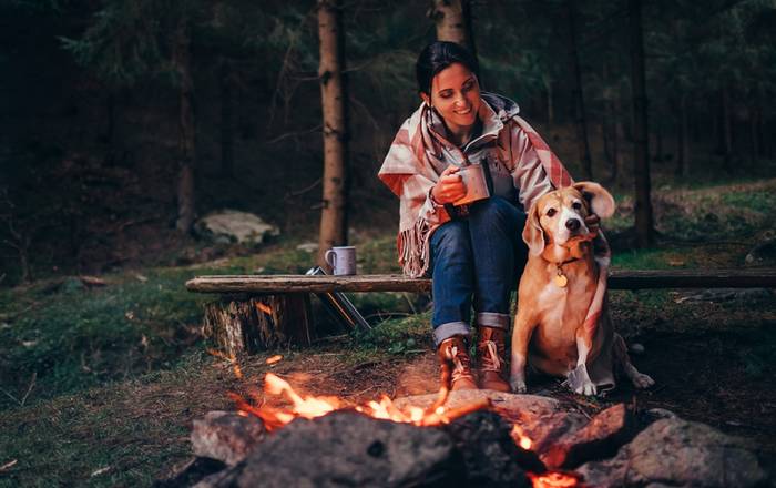 Jeder Campingplatz wird dem Vierbeiner gefallen. (Foto: shutterstock - Soloviova Liudmyla)